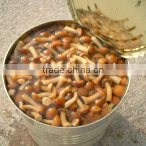 Canned Nameko Mushroom 2840g thumbnail-1