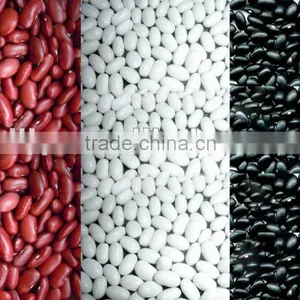 New Kidney Bean (factory) thumbnail-1