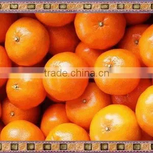 Mandarin thumbnail-1