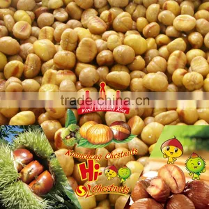 IQF Frozen Peeled Chestnut Castanea Sativa thumbnail-4