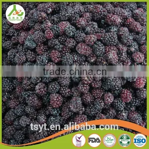 Best Selling Product Frozen Blackberry thumbnail-6