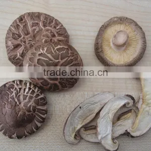 Search Products Dried Shiitake Mushroom Buy Wholesale From China thumbnail-1