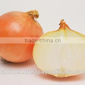 Fresh Onion thumbnail-2