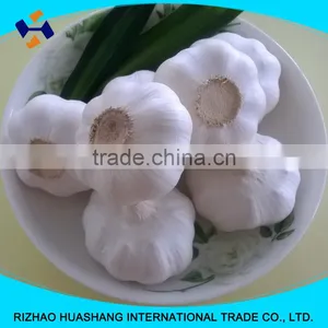Good Quality Pure White Fresh Garlic Size6.0cm thumbnail-5