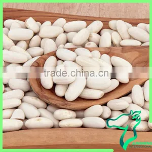 Long White Kidney Beans 2016 Crop Now On Sale thumbnail-6