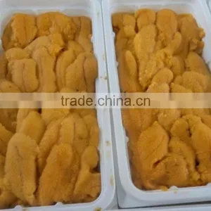 Sea Urchin Roes - Uni thumbnail-1