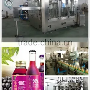 Hot Fruit Juice Filling Machine/ Fruit Juice Production Line thumbnail-2
