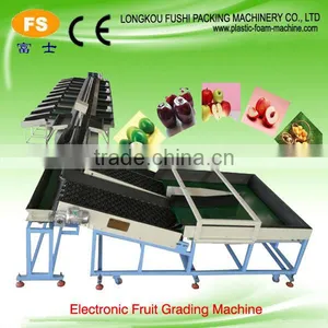 Fruit Washing and Waxing Machine thumbnail-2