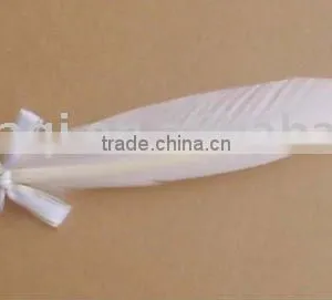 Feather Pens/quill Pen/history Pen thumbnail-1