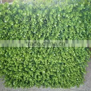 Factory Price Wall Hanging Plants thumbnail-6