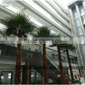 Outdoor Tropical Decorative Palm Trees/hugh Indoor Decorative Palm Tree thumbnail-1