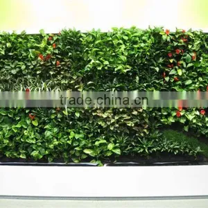 Vertical Garden Module Jupiwall thumbnail-1