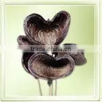Badam On Stem thumbnail-1