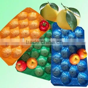 Customed SGS/FDA Testing PP Fruit Pear Alveols Tray thumbnail-1