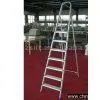Aluminum Ladder thumbnail-1