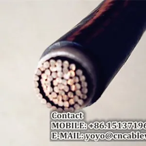 0.6/1 kV Single Core Power Cable (YJV) thumbnail-2