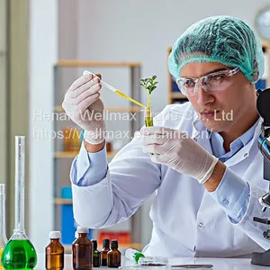 Disposable Anti-dust Nonwoven Head Cap for Clean Operations thumbnail-3