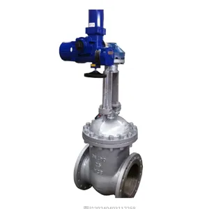 Russian Standard GOST Carbon Steel WCB Cryogenic Single Disc Parallel Double Disc Flanged Gate Valve thumbnail-3