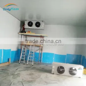 Cold Warehouse for Meat, Cooling Room for Flesh thumbnail-5