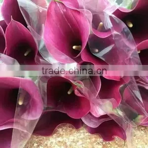 High Grade New Coming Decoration Calla Lily Flower thumbnail-5