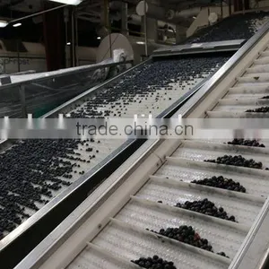 Bulk Frozen Blueberries thumbnail-3