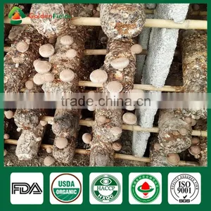 Shiitake Farm,Shiitake Growing Log/Kit,Shiitake Mushroom Log/kit thumbnail-4