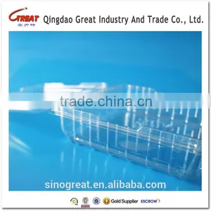 Transparent Pet Plastic Food Packaging Box 500L Quality Choice thumbnail-4