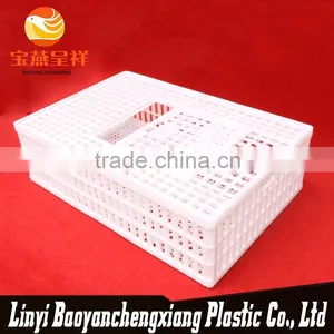 New Polyethylene China White Quail Cages for Sale thumbnail-1