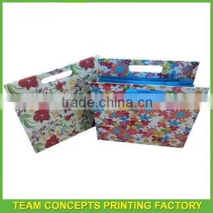 Colorful File Folder Carrying Case thumbnail-1