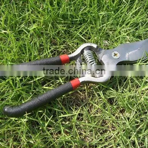 Pruning Shear thumbnail-1