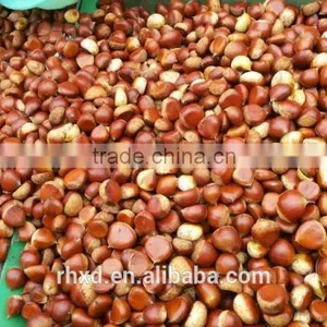 2015 Health Food Fresh Chinese Sweet Chestnuts/chinese Snack Food thumbnail-4