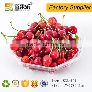 Promotional Transparent Plastic Pet Tray thumbnail-4