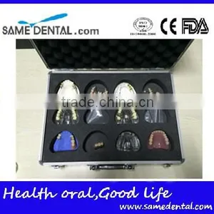 Integrated Denture Model Teaching Demonstration thumbnail-4