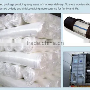 Wholesale Supplier Lurury Vacuum Packed Sleep Well Thin Mattress Pad thumbnail-3