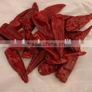 Chilli thumbnail-2