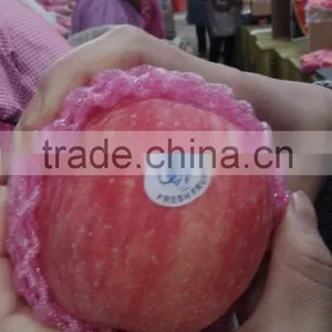 Chinese Fuji Apple thumbnail-3