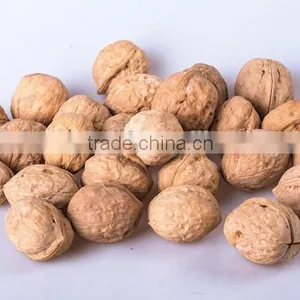 Chinese Supplier of Dried Walnut Kernel for Sale and With Best Quality Walnut for Hot Sale thumbnail-5