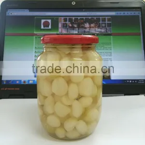 Pickled Onion thumbnail-1