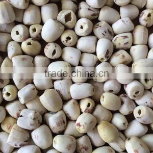 VIETNAM LOTUS SEED, HIGH QUALITY AT RIGHT PRICE thumbnail-1