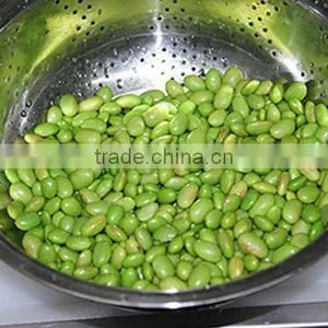 DPL-300 CE Qualified Bean Sheller Peeler Peeling Machine thumbnail-4