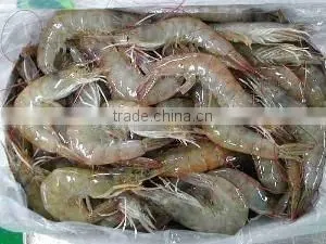 Soya Lecithin Additive for Shrimp Feed thumbnail-3