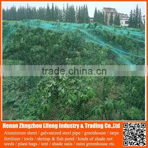 Best Selling 100% Virgin Hdpe / pe Net , Plastic Knitted Vineyard Anti Bird Netting thumbnail-3