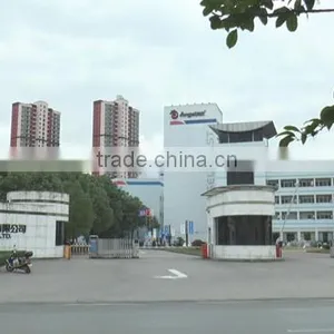 Angel Yeast Co., Ltd. company overview - view 1 thumbnail