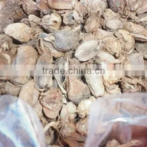 Vietnam Dried Style BLACK CARDAMOM Exporter thumbnail-5