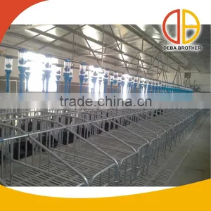 Pig Farm Equipment Auto Feeding Line thumbnail-1