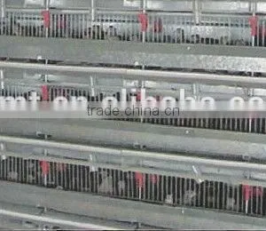 Automatic Poultry Equipment for Layer Quail Raising thumbnail-6