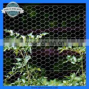Pvc Coated Hexagonal Mesh(Guangzhou Factory) thumbnail-1