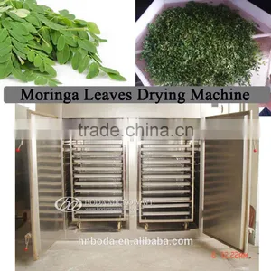 Stainless Steel Moringa Leaf Drying Machine thumbnail-1
