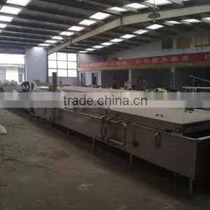 Pasteuriaing Equipment Belt Blanching Machine for Bags thumbnail-1