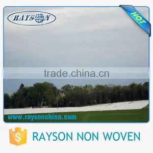 Pp Non Woven Breathable Plant Protection Cover thumbnail-4